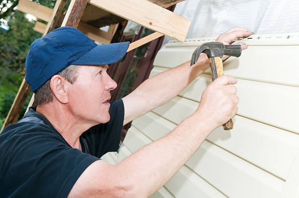 Professional Siding in Arbury Hills, IL